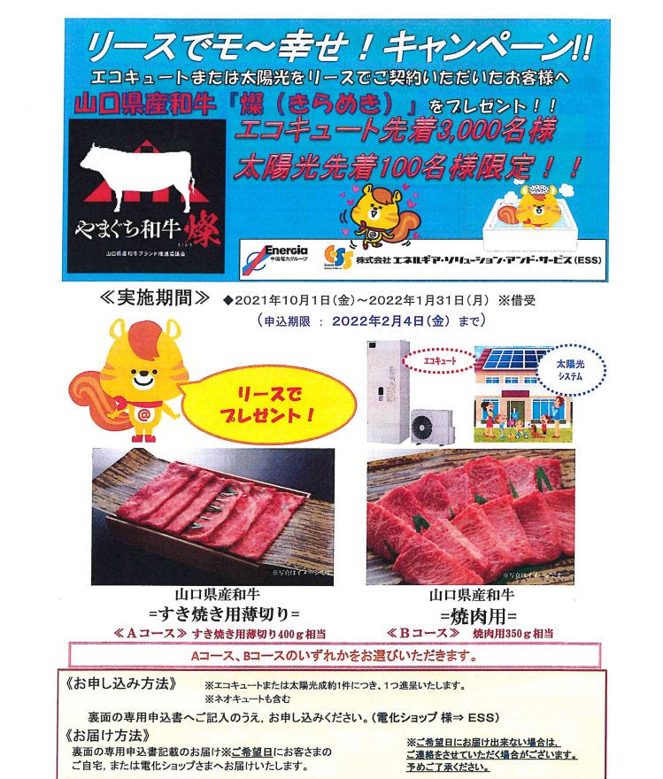 チラシ画像