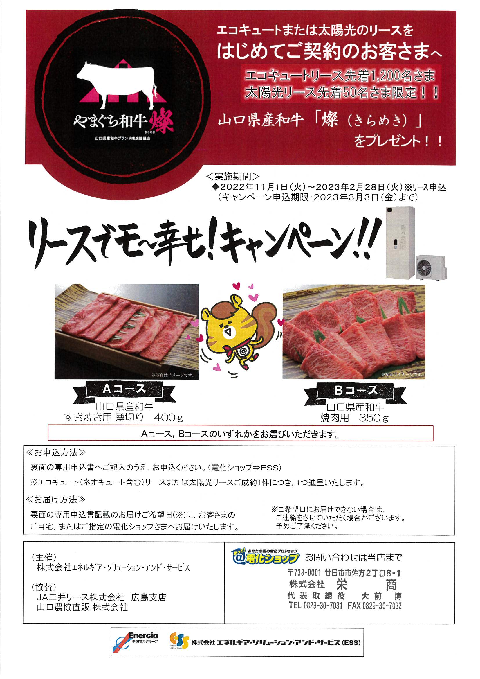 チラシ画像
